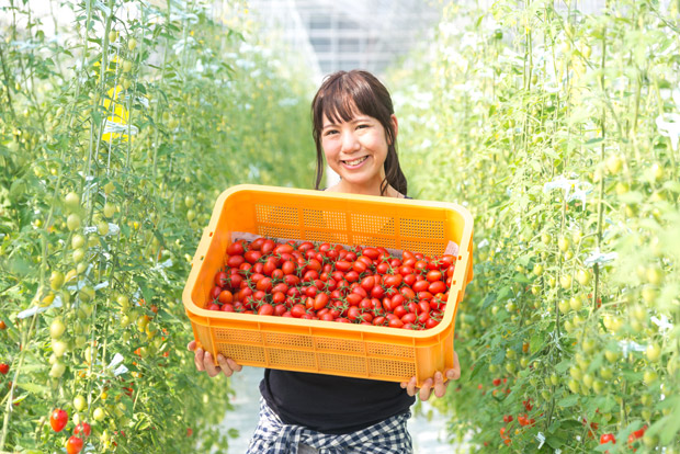 甘くておいしいフルーツトマトを生産する農業女子 農業は女性が輝ける職場 とらばーゆ